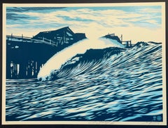 Shepard Fairey y C. R. Stecyk III Pop Wave Azul Variante Arte Callejero Contemporáneo