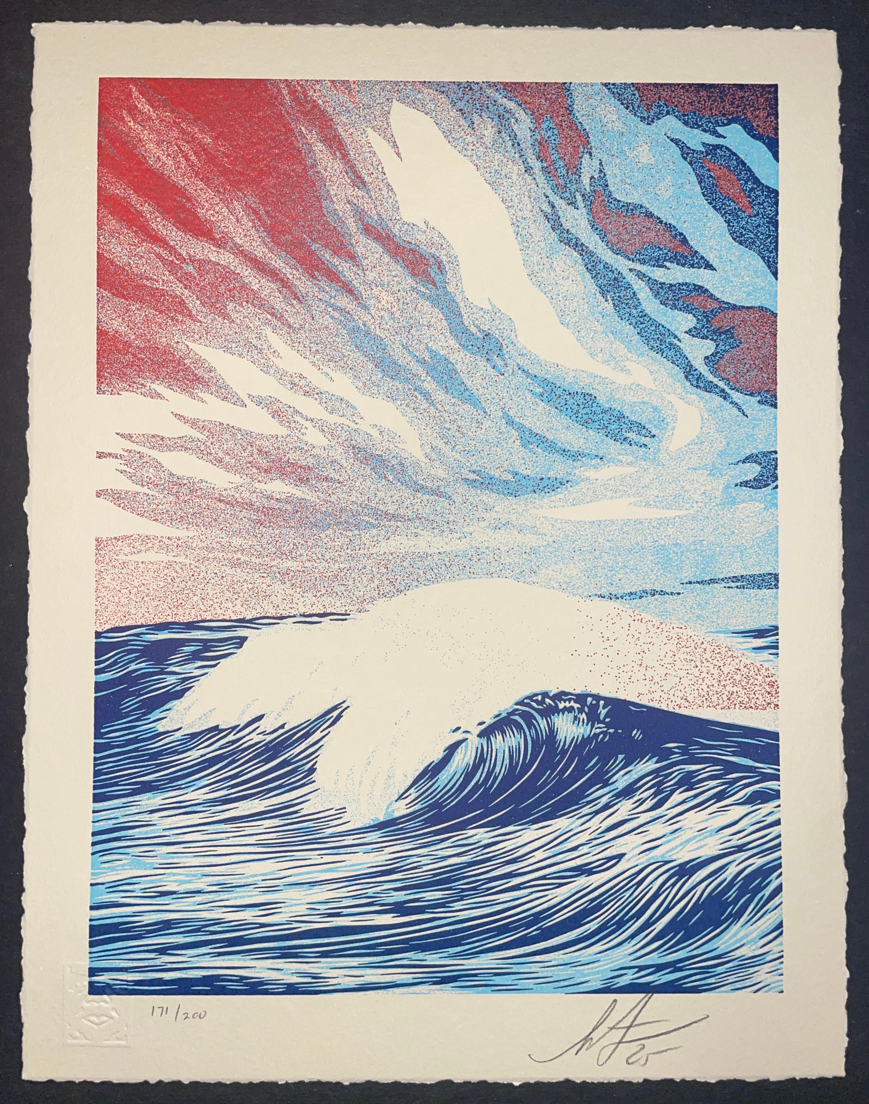 Shepard Fairey "Force Of Nature" Fine Art Letterpress Print Contemporary Street