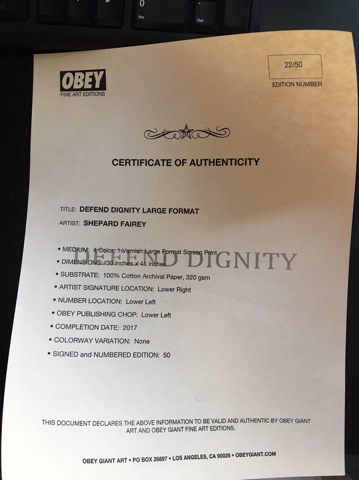 Shepard Fairey Obey Defend Dignity, grand format, Histoire américaine en vente 6