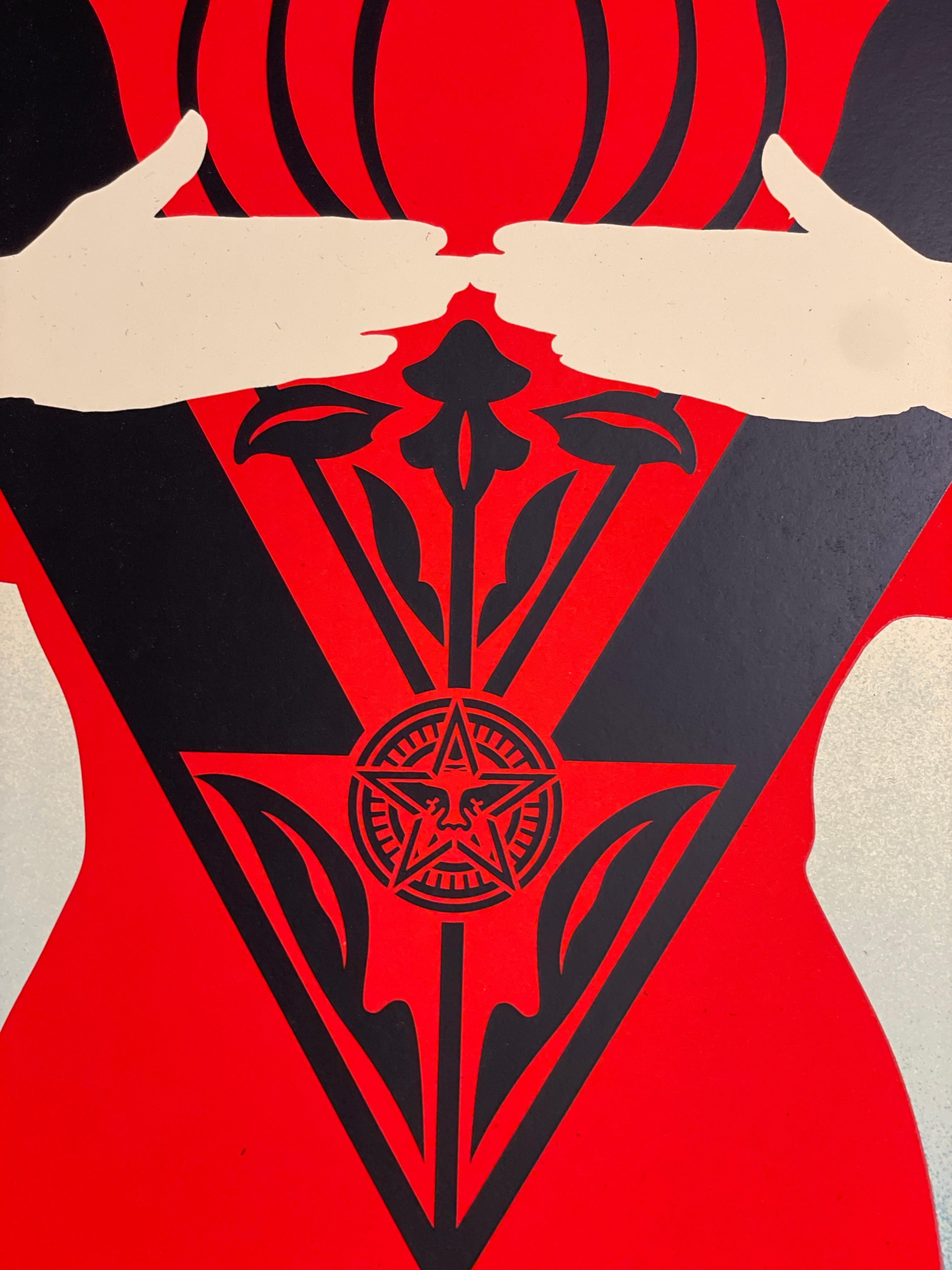 Shepard Fairey 