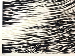 Shepard Fairey Water ist das neue Schwarze