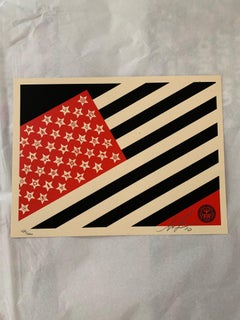 Signed and Numbered Small Mayday Flag screenprint from 2010