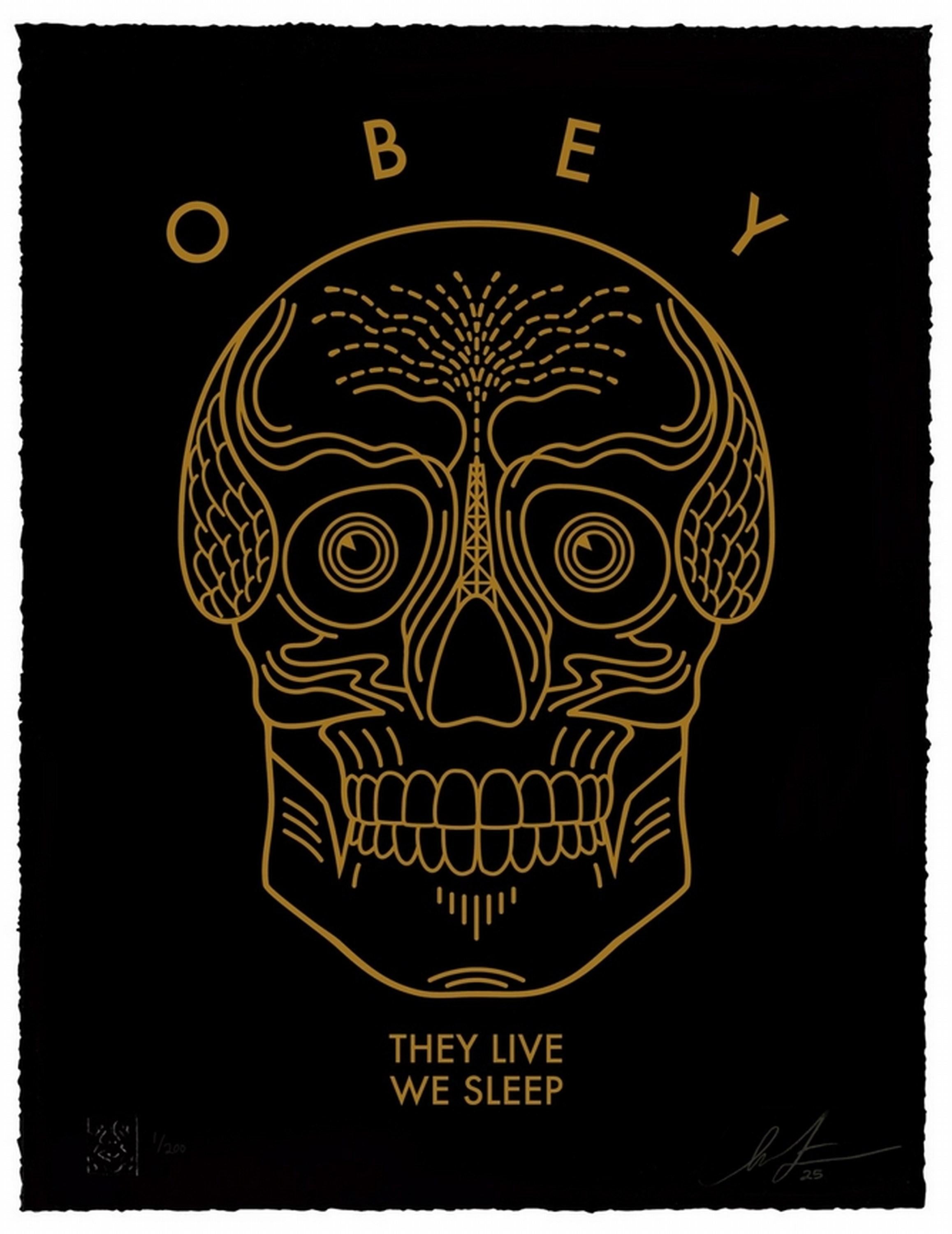 Shepard Fairey Portrait Print - They Live We Sleep (Black) (Skull, Letterpress, Iconic, ~32% OFF LIMITED TIME)
