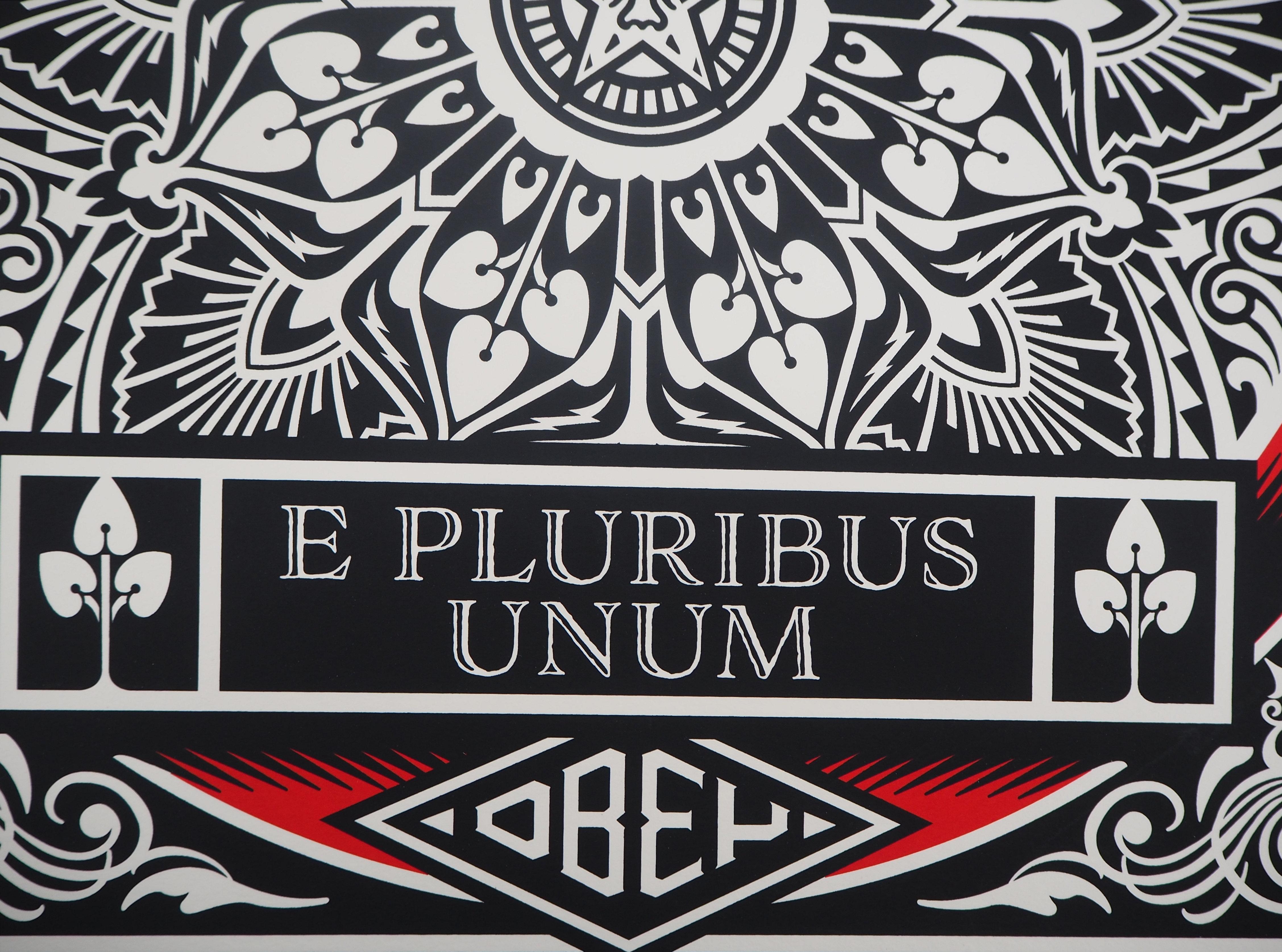 ex pluribus unum ring