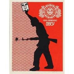 Visual Disobedience By Shepard Fairey