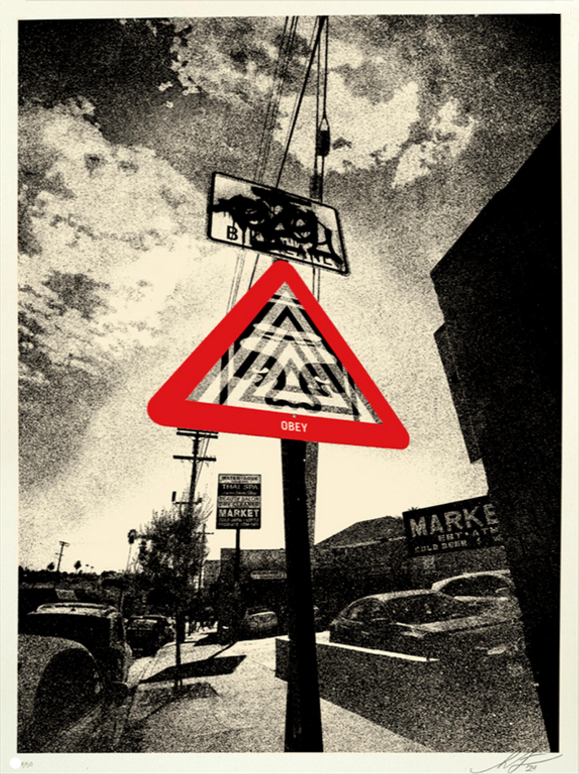 Warning Sign (Disrupt, Provoke, Don’t Ignore the Warning Signs, ~20% OFF) - Print by Shepard Fairey