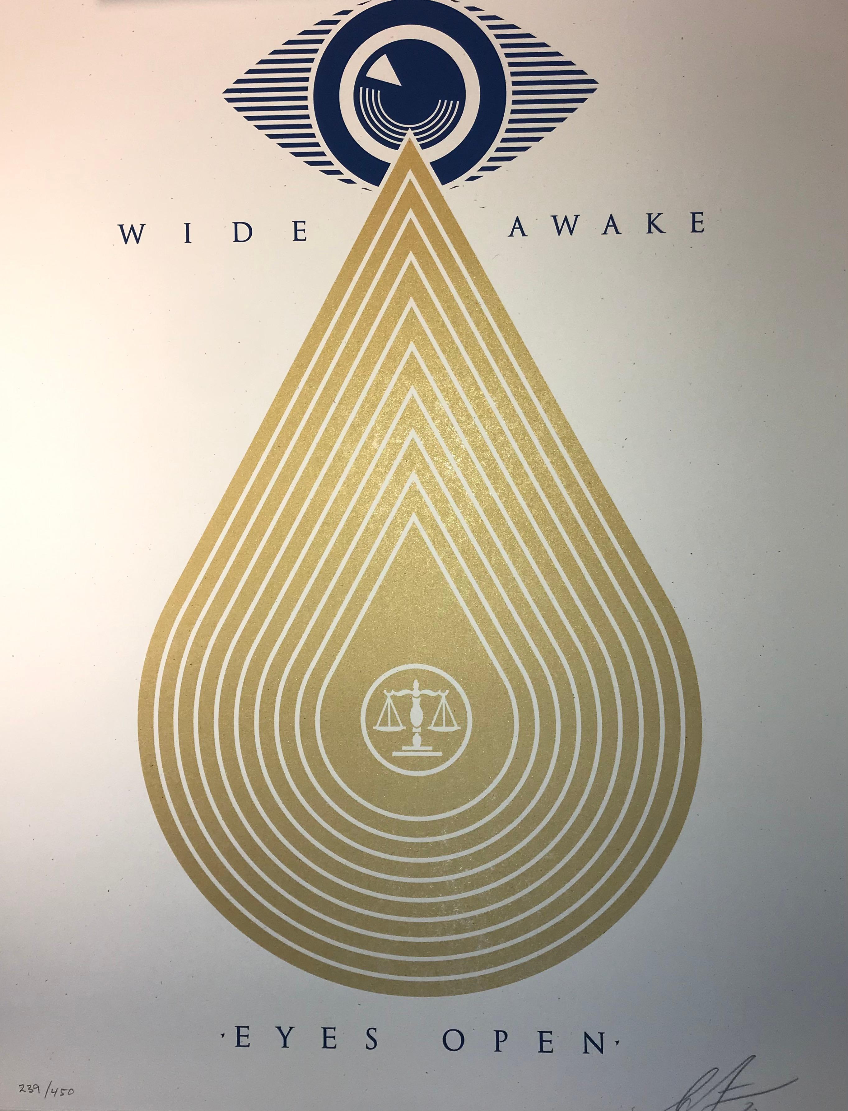 Wide Awakes Campaign 2020 Shepard Fairey Stay Woke Print Street Art Dump Trump For Sale 2