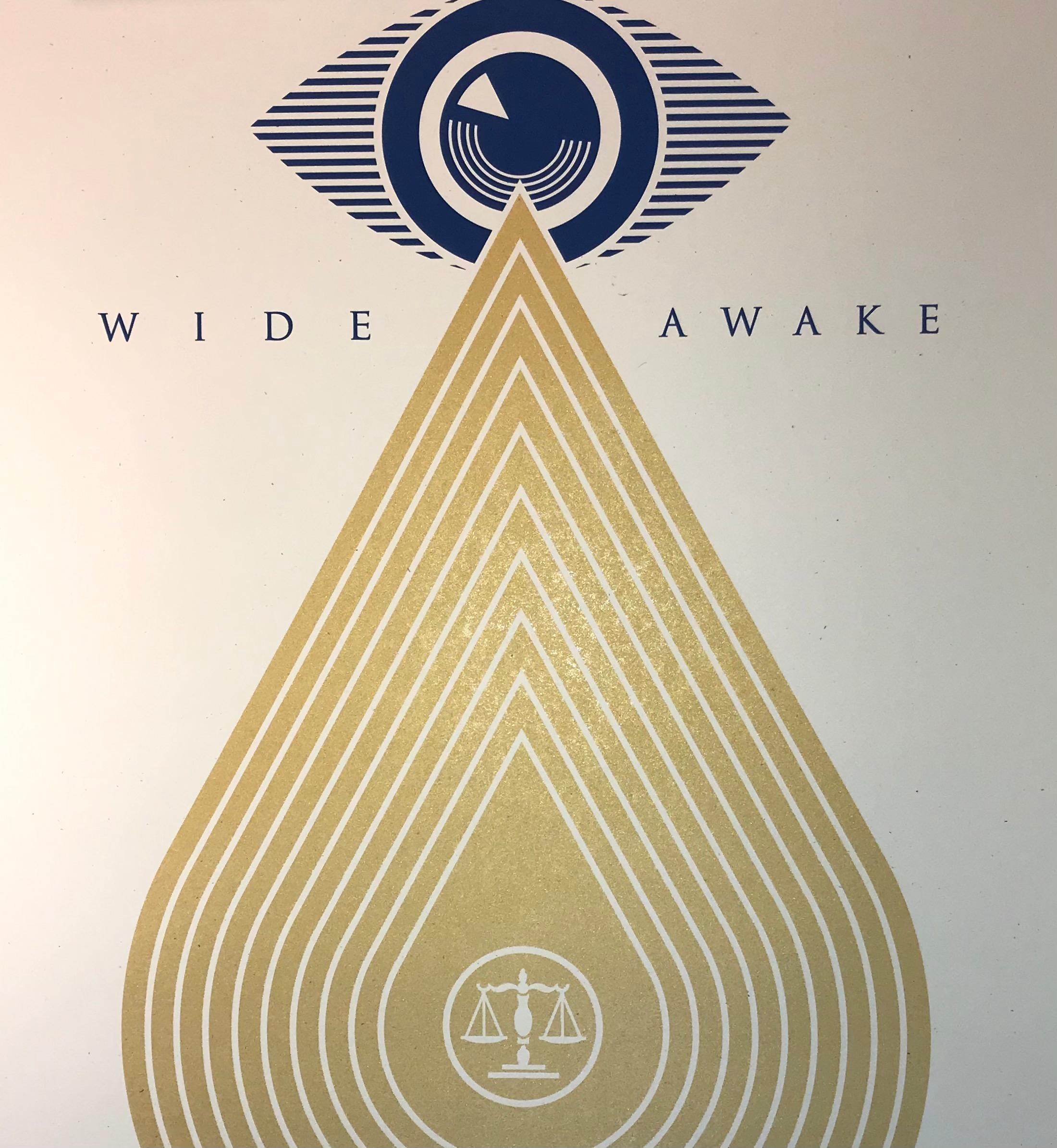 Wide Awakes Campaign 2020 Shepard Fairey Stay Woke Print Street Art Dump Trump im Angebot 6
