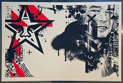 Ritratto di WK / Shepard (Omaggio, Collaboration, New York Street Art)