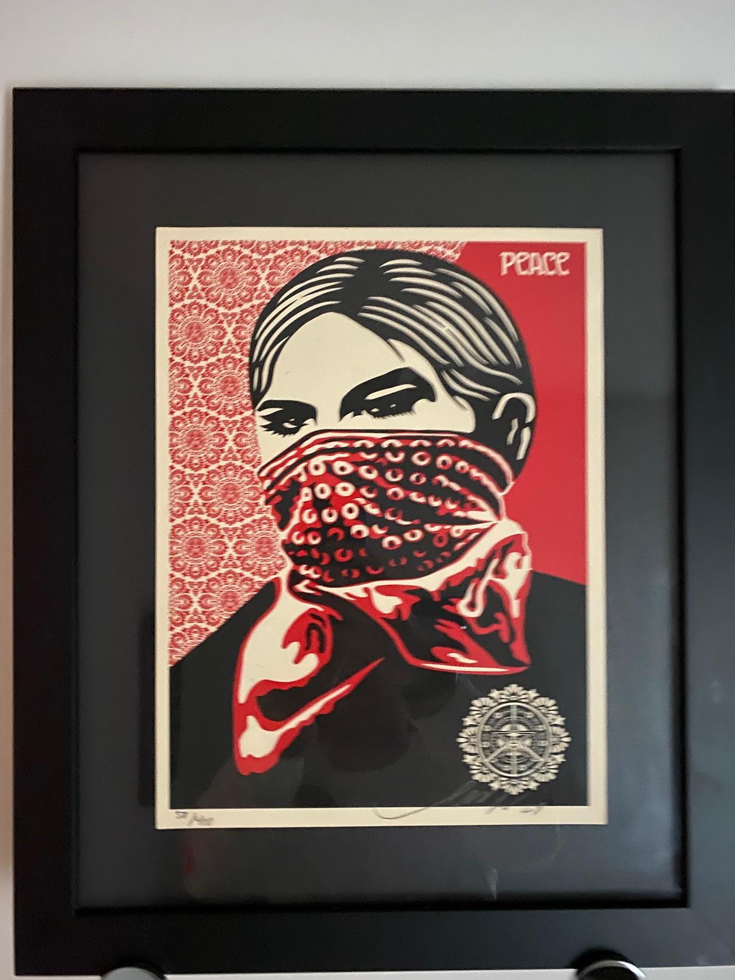 Paint Shepard Fairey Supply and Demand 20th Anniversary signed and numbered Serigraphs