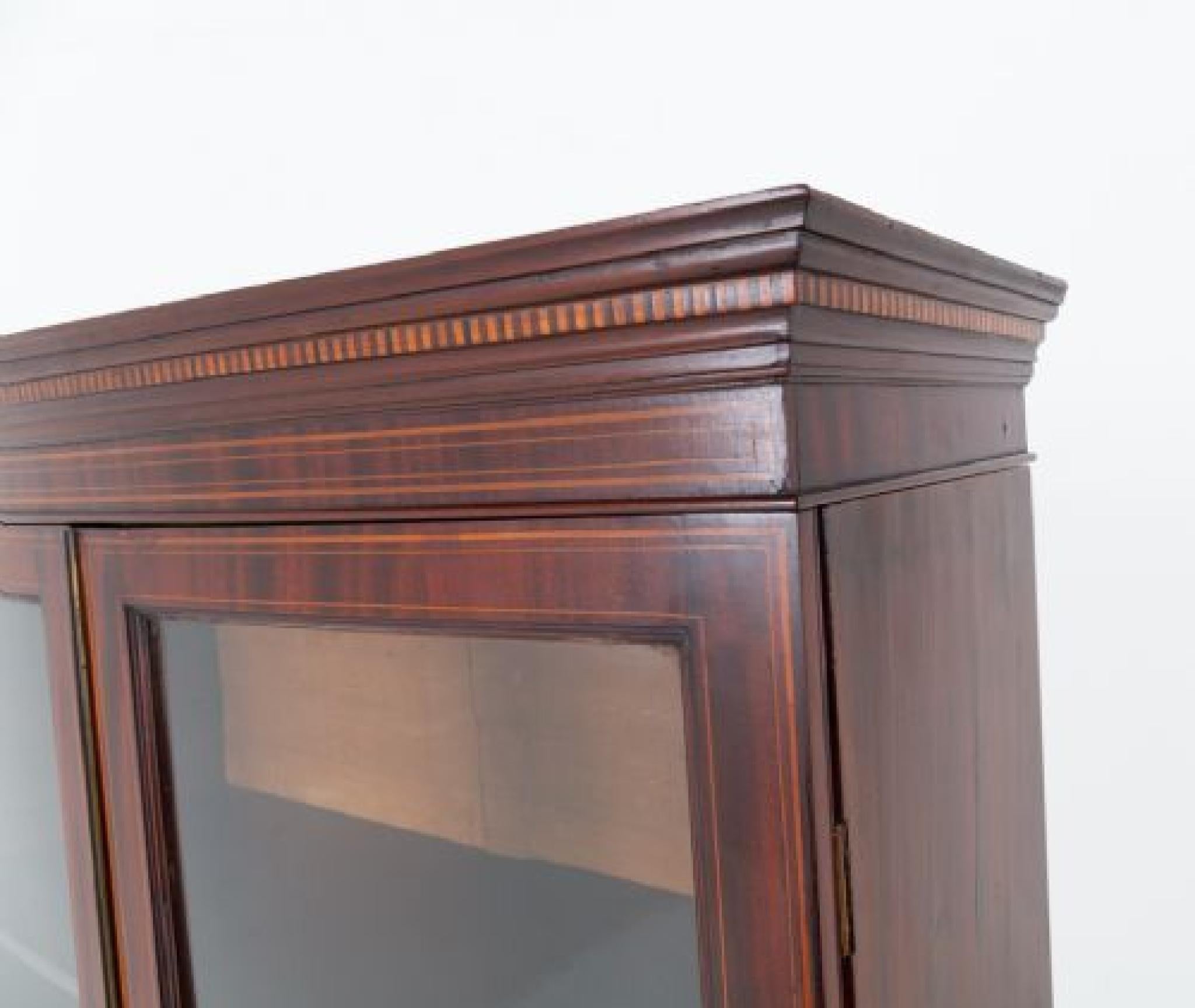 Wood Sheraton Library Bookcase Bow Fronted Cabinet Revival For Sale
