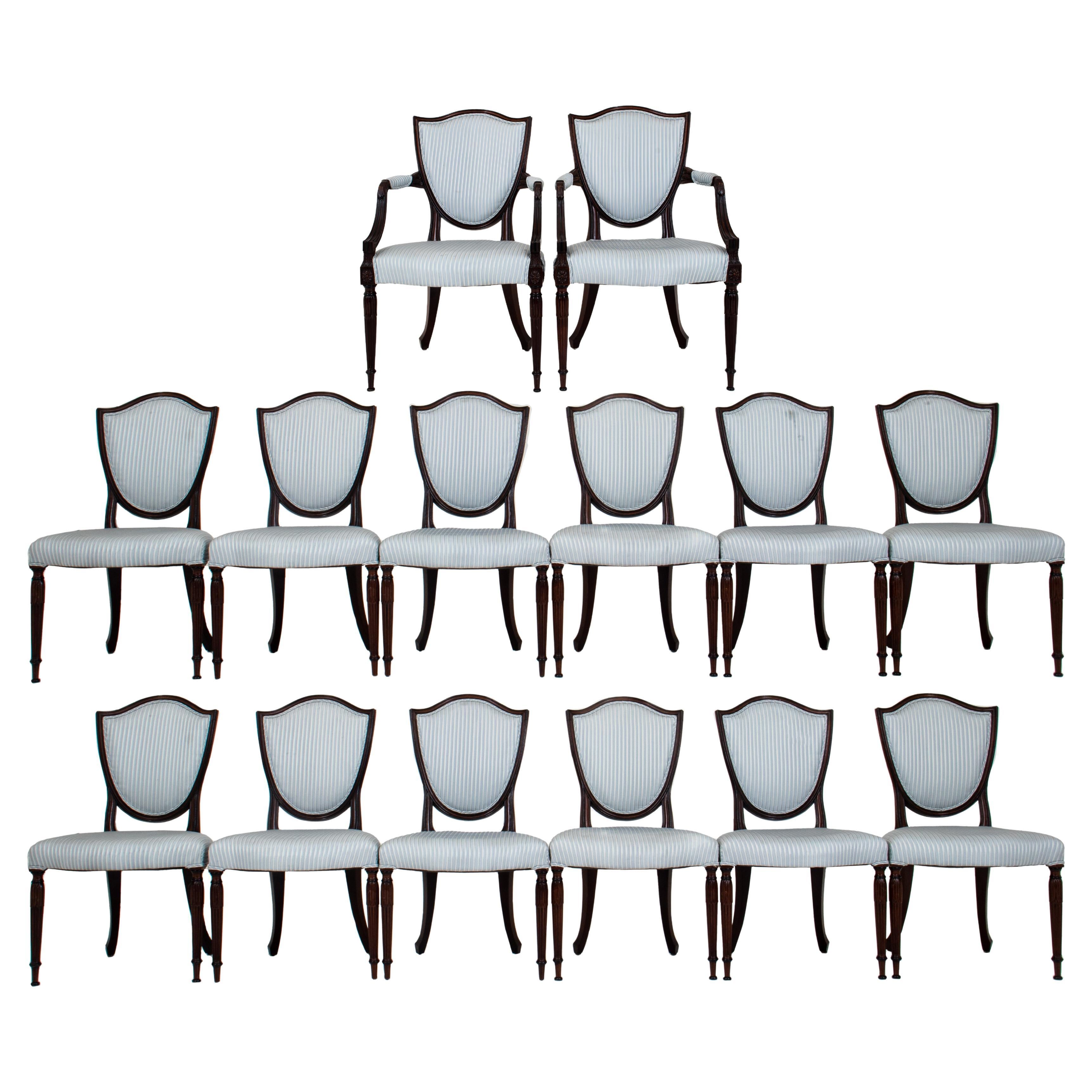 Sheraton Manner Shield-Back Dining Chairs, 14
