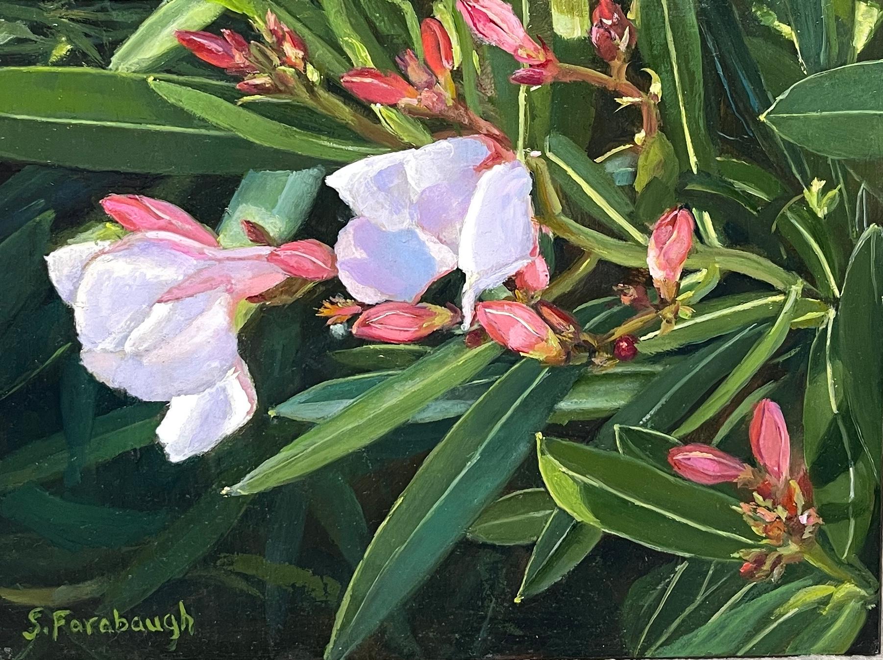 "Oleander" by Shari Farabaugh (United States) is a handmade oil painting that depicts a close up view of a beautifully lit scene of blooming oleander. 

Sheri Farabaugh began painting after successful careers in tax accounting and biochemistry. A