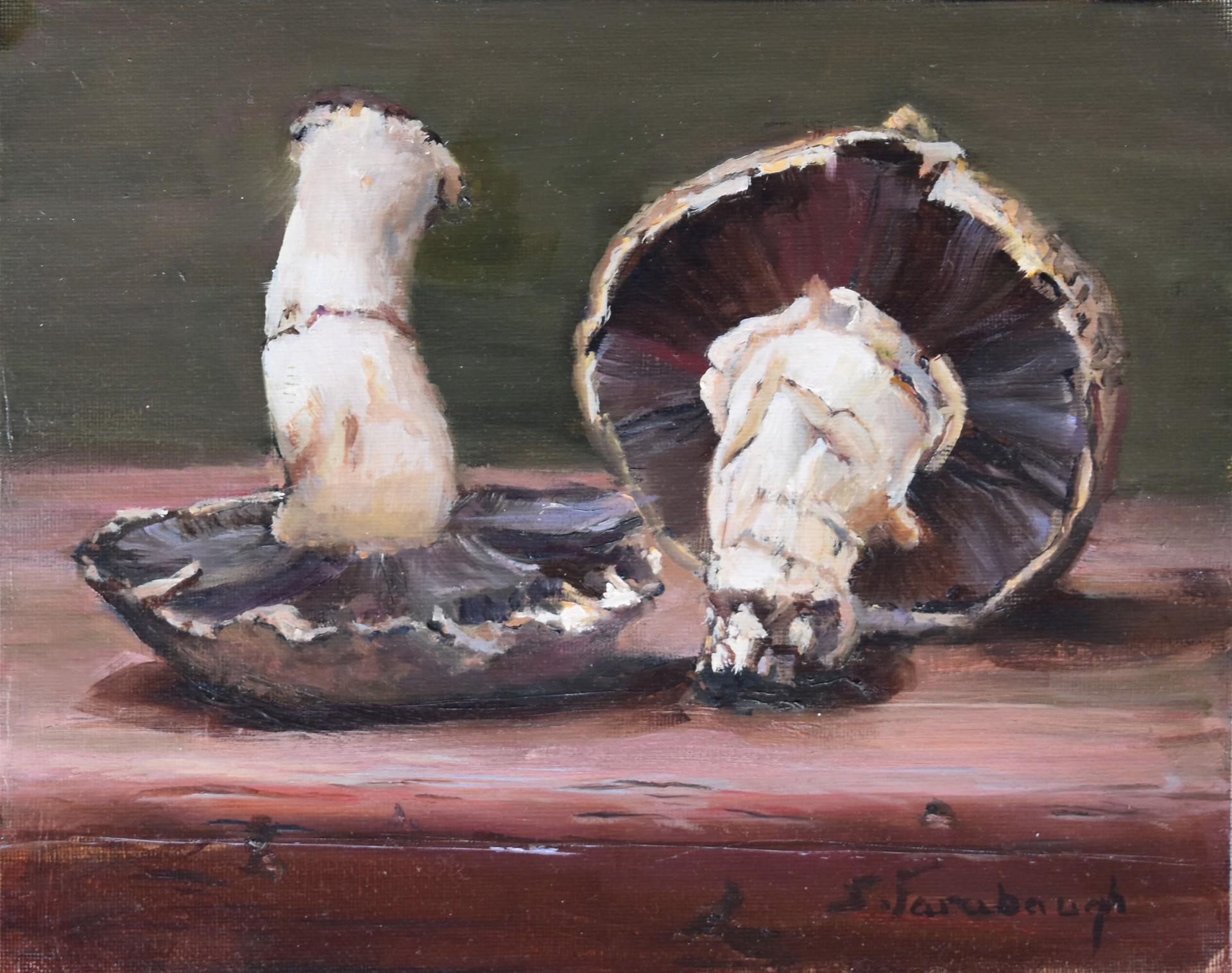 Sheri Farabaugh Figurative Painting – Portabellas