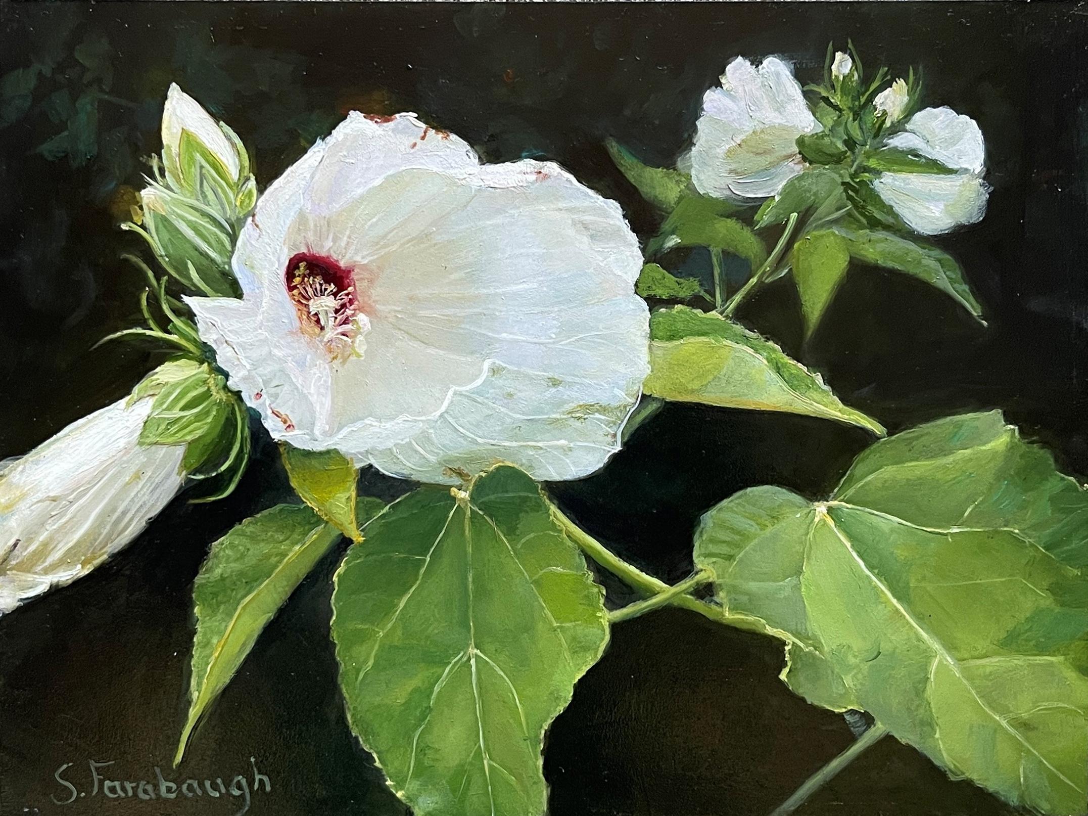 "Hibisco blanco" (2024) de Sheri Farabaugh, Pintura al óleo original de flores