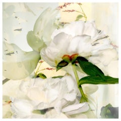 Sherrie Hunt Poetry of Petals #4, Limited Edition Print