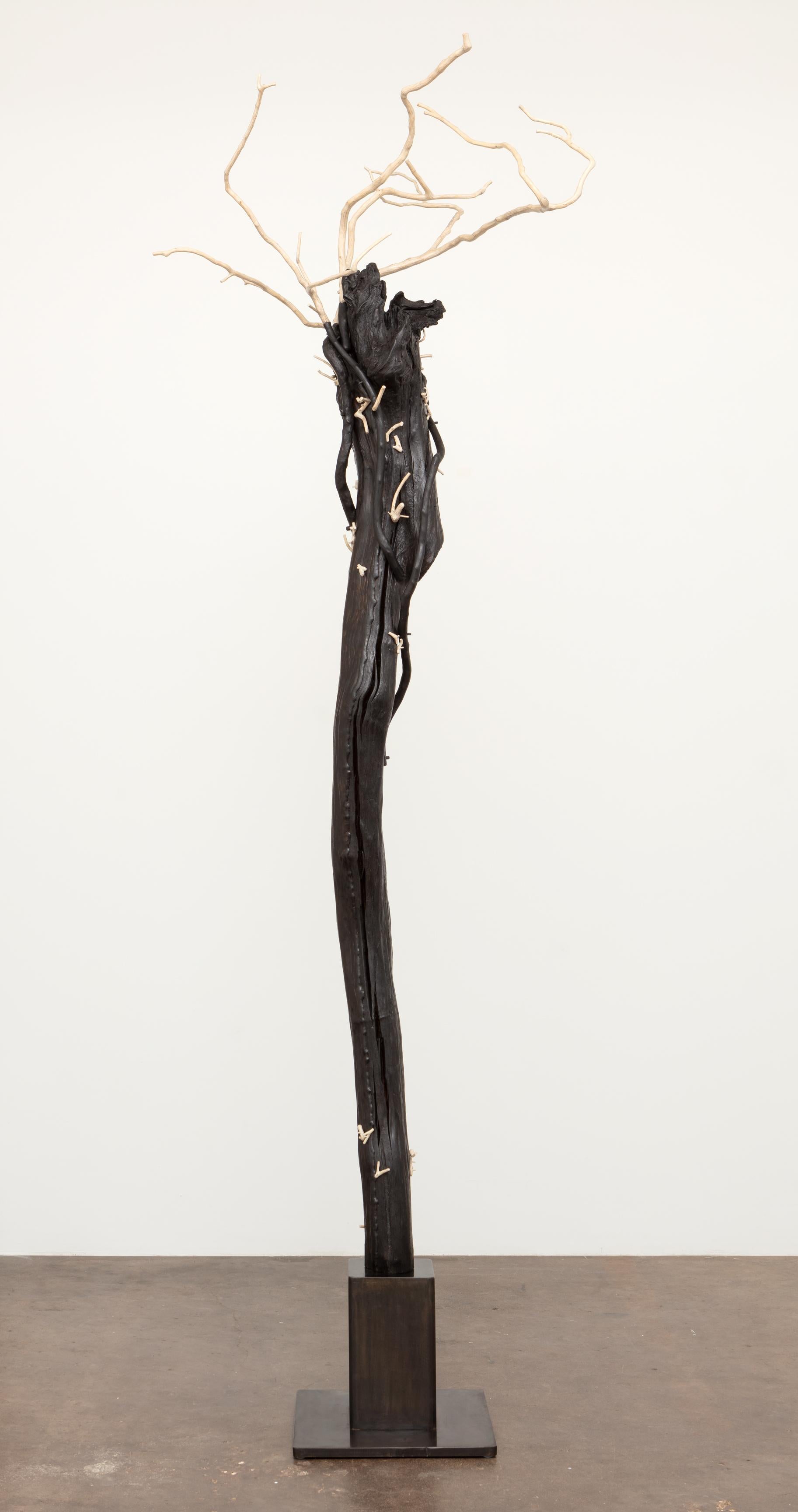 Sherry Owens Abstract Sculpture – Den Geist wiedererwecken