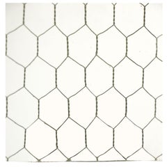 Antique Sheryl- 1920s Clear Industrial Chicken Wire Glass, Large Sheets Available