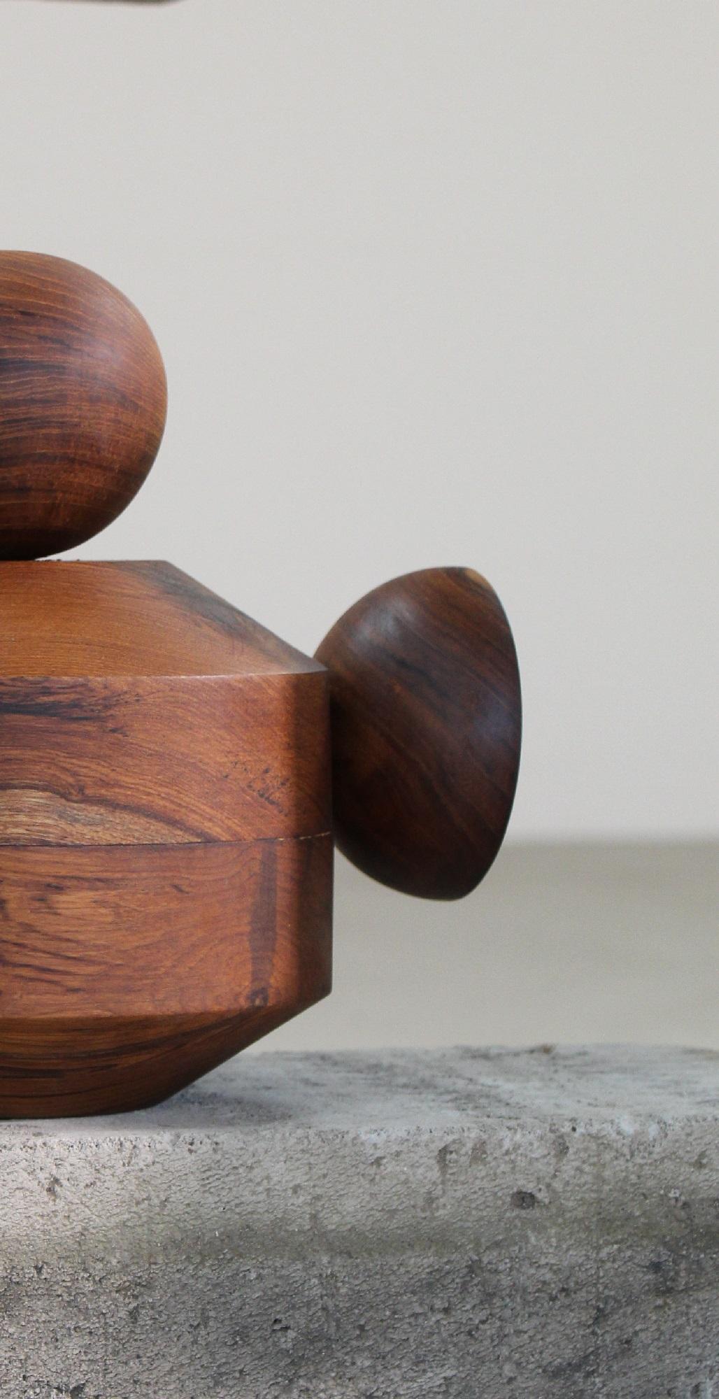 Indian Shibui 10 Sculpture by WANAS For Sale