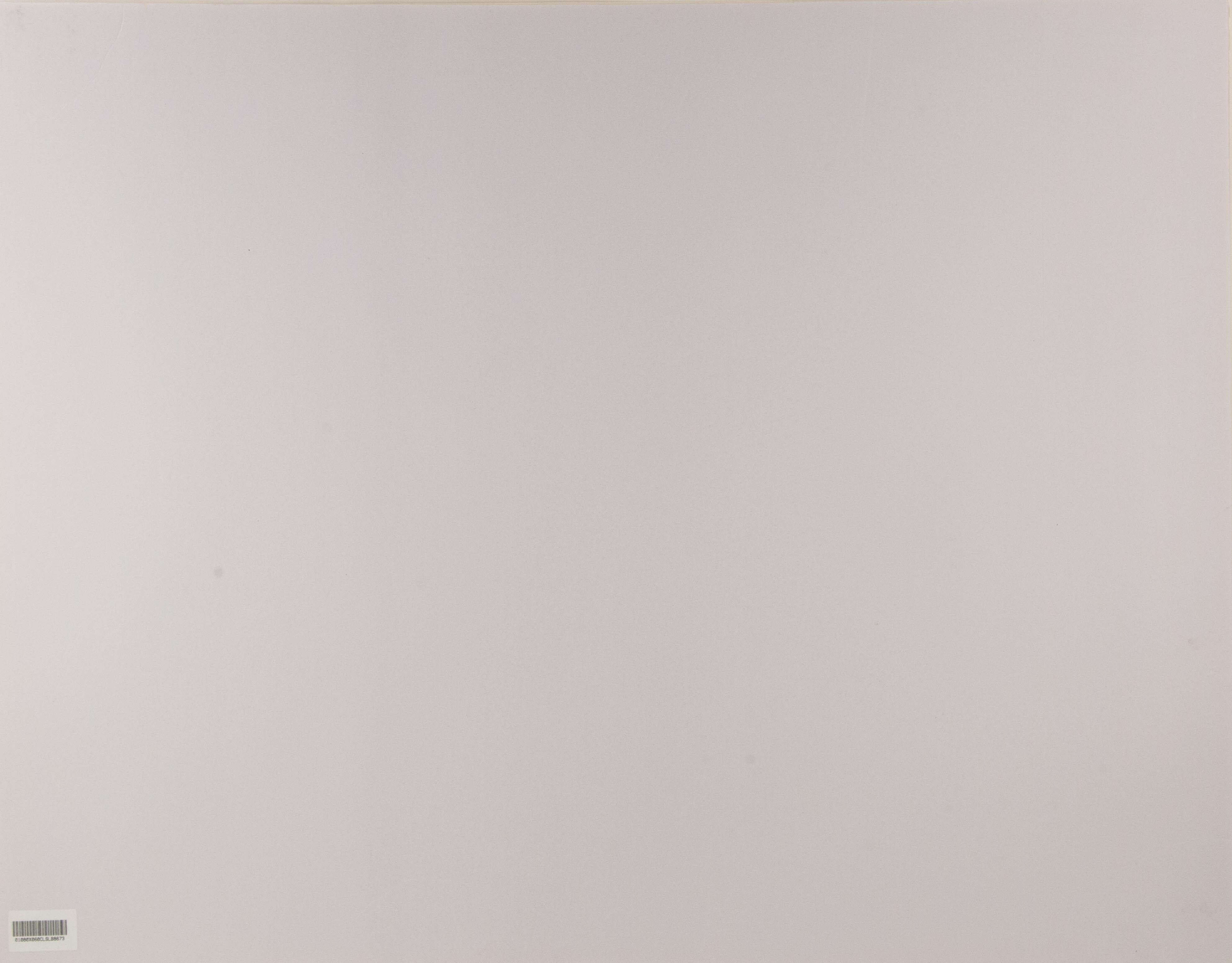 Shikai Guan Impressionistisches Original Ölgemälde auf Leinwand „Snowy Lakeside“ von Shikai Guan im Angebot 9
