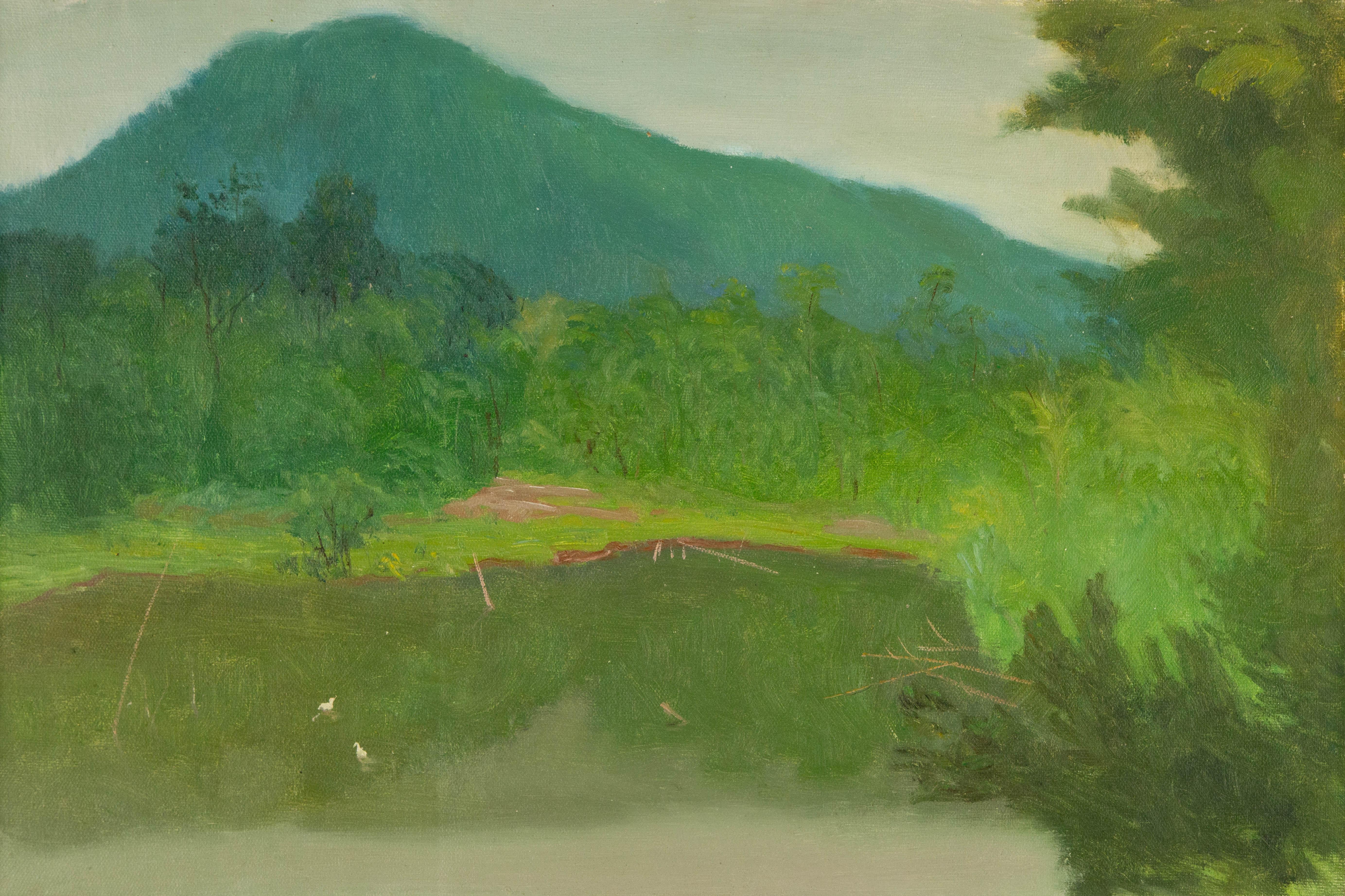  Title: Small Pond Under The Mountain
 Medium: Oil on canvas
 Size: 15 x 23 inches
 Frame: Framing options available!
 Condition: The painting appears to be in excellent condition.
 Note: This painting is unstretched
 Year: 2015
 Artist: ShiLian