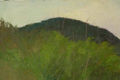 Huile sur toile originale du paysage ShiLian Liu « Xuefeng Mountain I »
