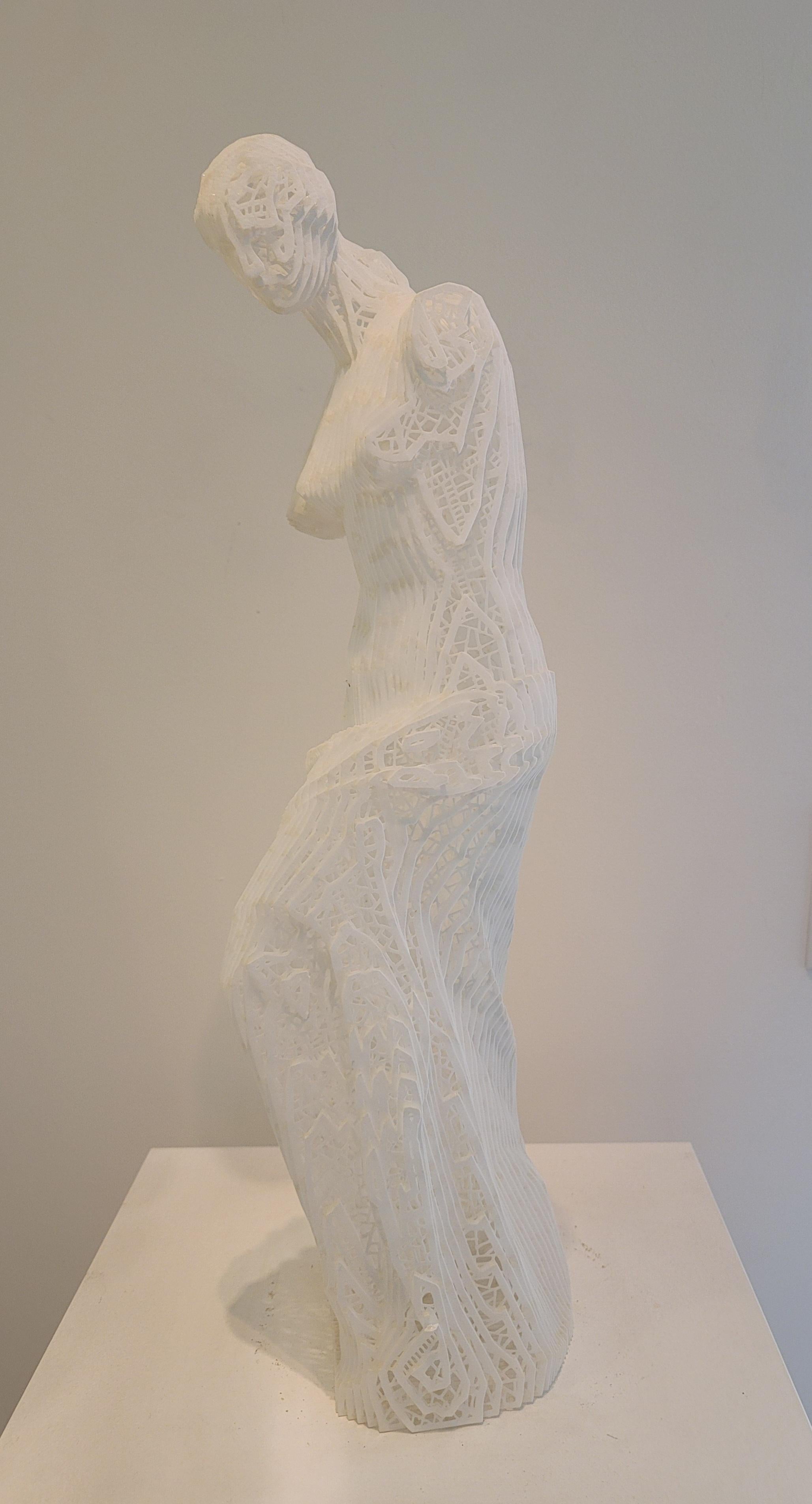 Shin Ho Yoon Figurative Sculpture - There is no Essence: Venus 