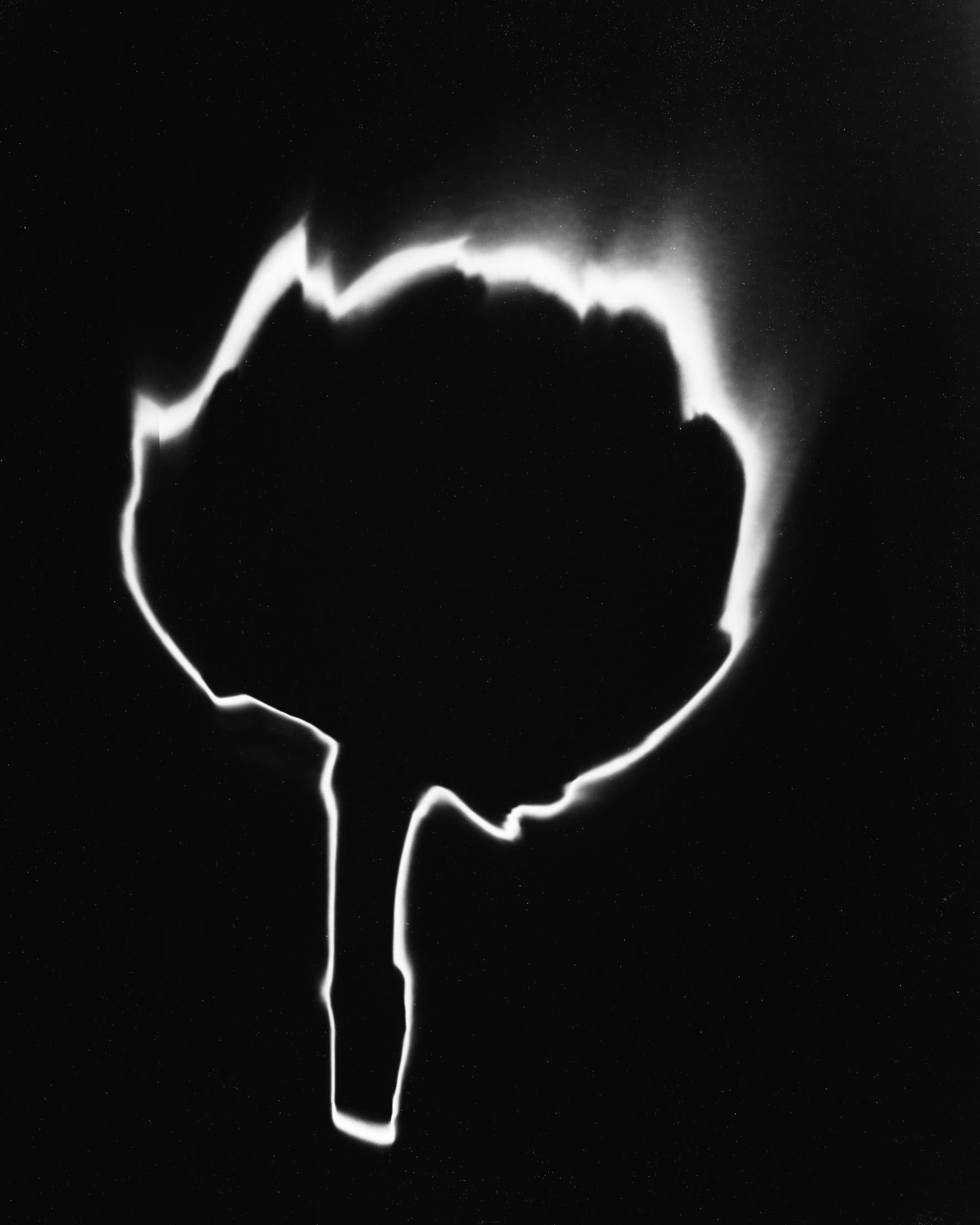 Artichoke I and II  Abstract.  Black and White Silver Gelatin Print - Minimalist Photograph by Shine Huang