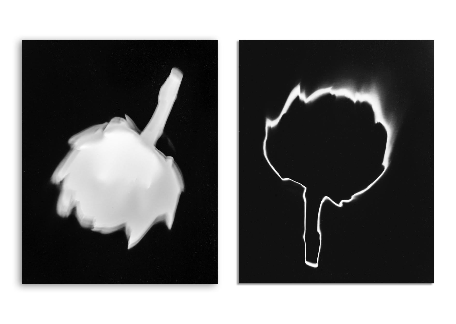 Shine Huang Black and White Photograph - Artichoke I and II  Abstract.  Black and White Silver Gelatin Print