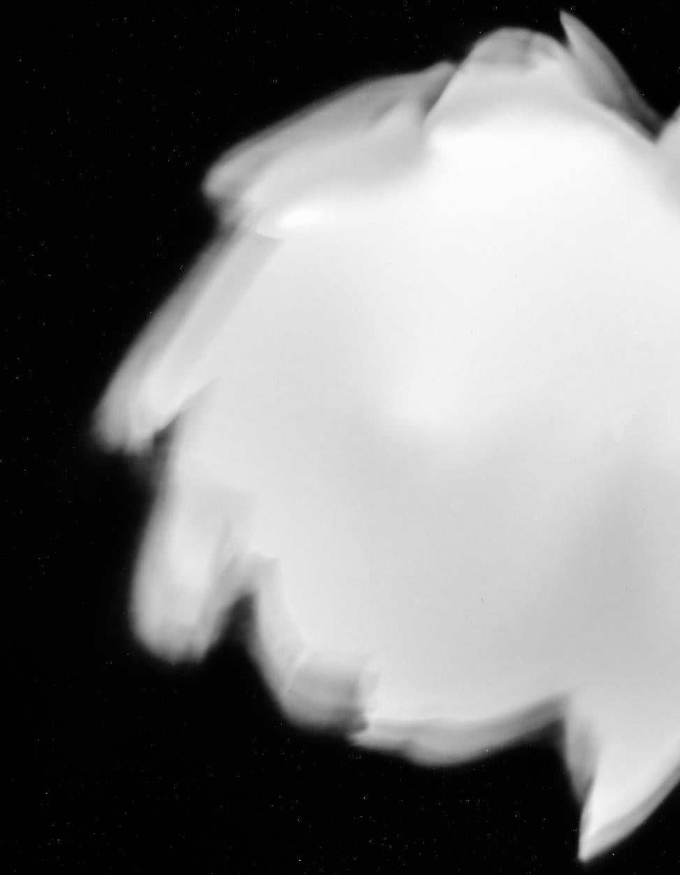 Artichoke I. Abstract.  Black and White Print - Photograph by Shine Huang