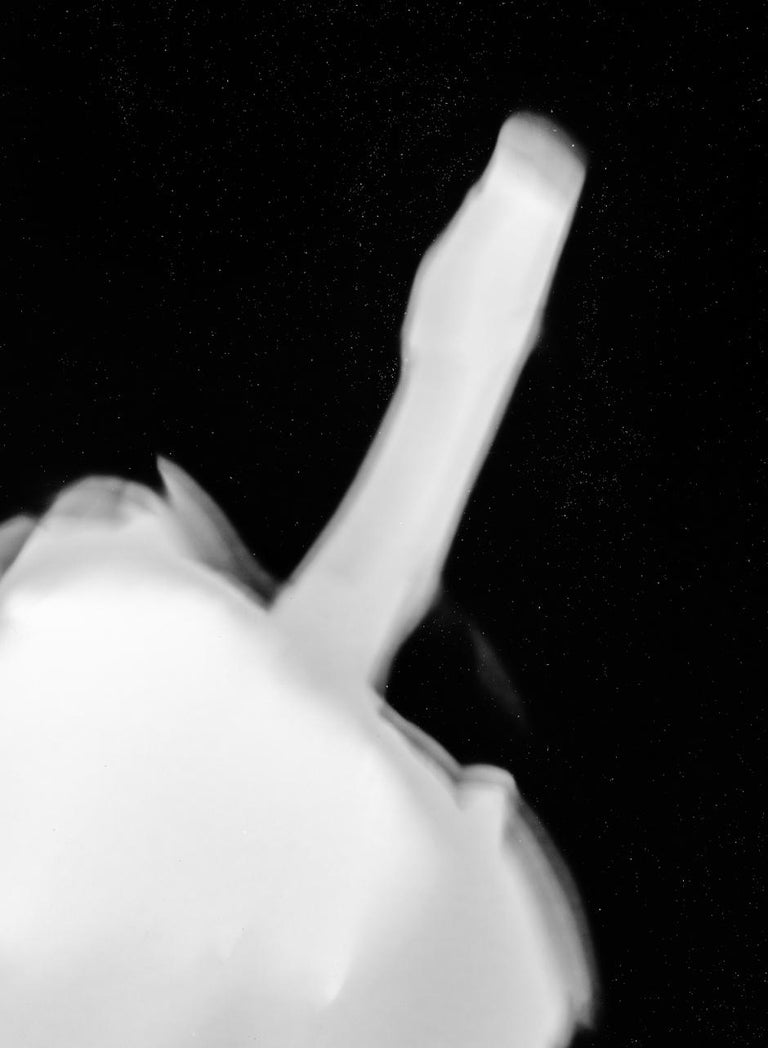 Artichoke I - Black Abstract Photograph by Shine Huang