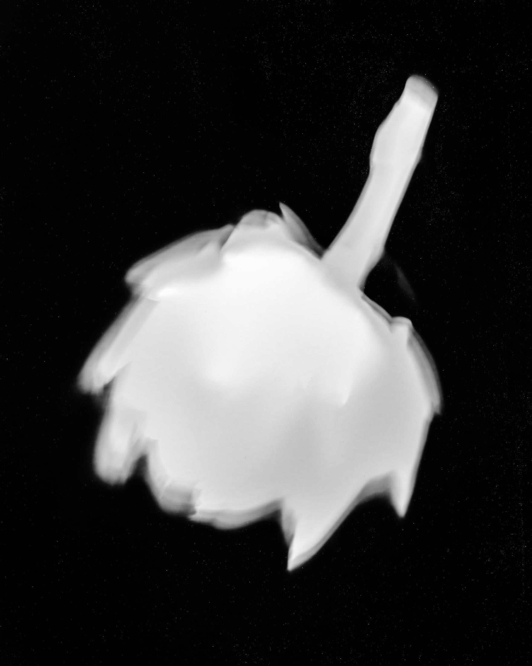 Shine Huang Abstract Photograph - Artichoke I. Abstract.  Black and White Print