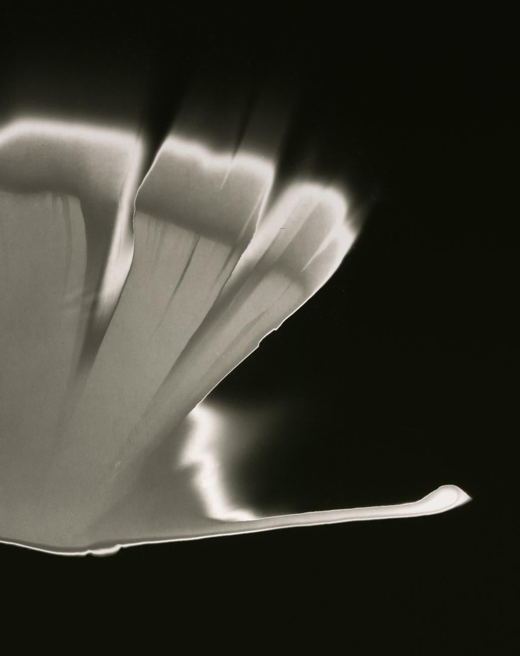 Book of Faith, aus der Serie Carry the Ocean. Zusammenfassung.  Schwarzer und weißer Druck (Minimalistisch), Photograph, von Shine Huang