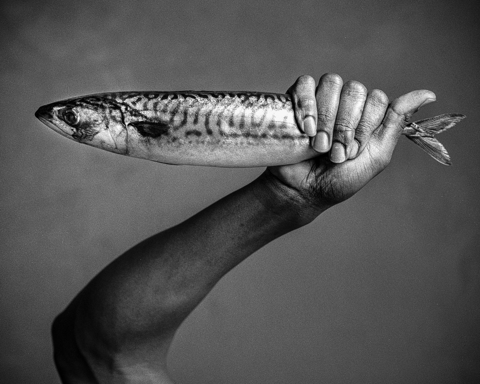 Shine Huang Black and White Photograph - Chef and fish. Still life. Black and White Print