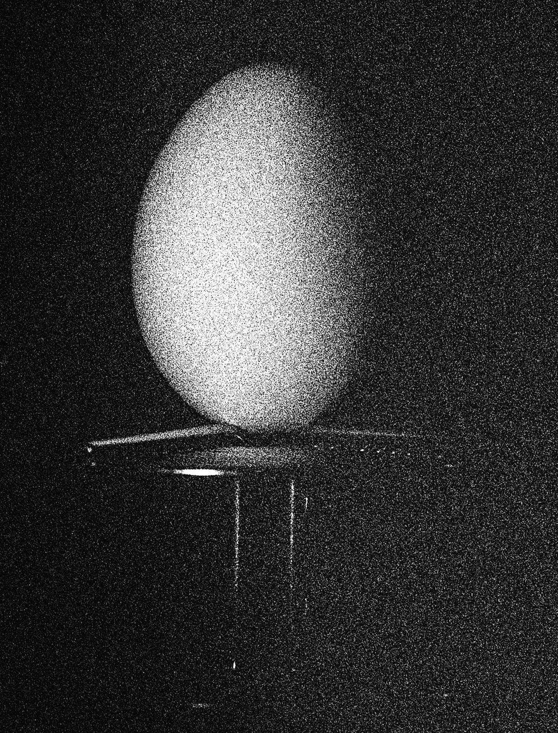 Egg Study 11. Still Life . Black and White Silver Gelatin Print - Photograph by Shine Huang