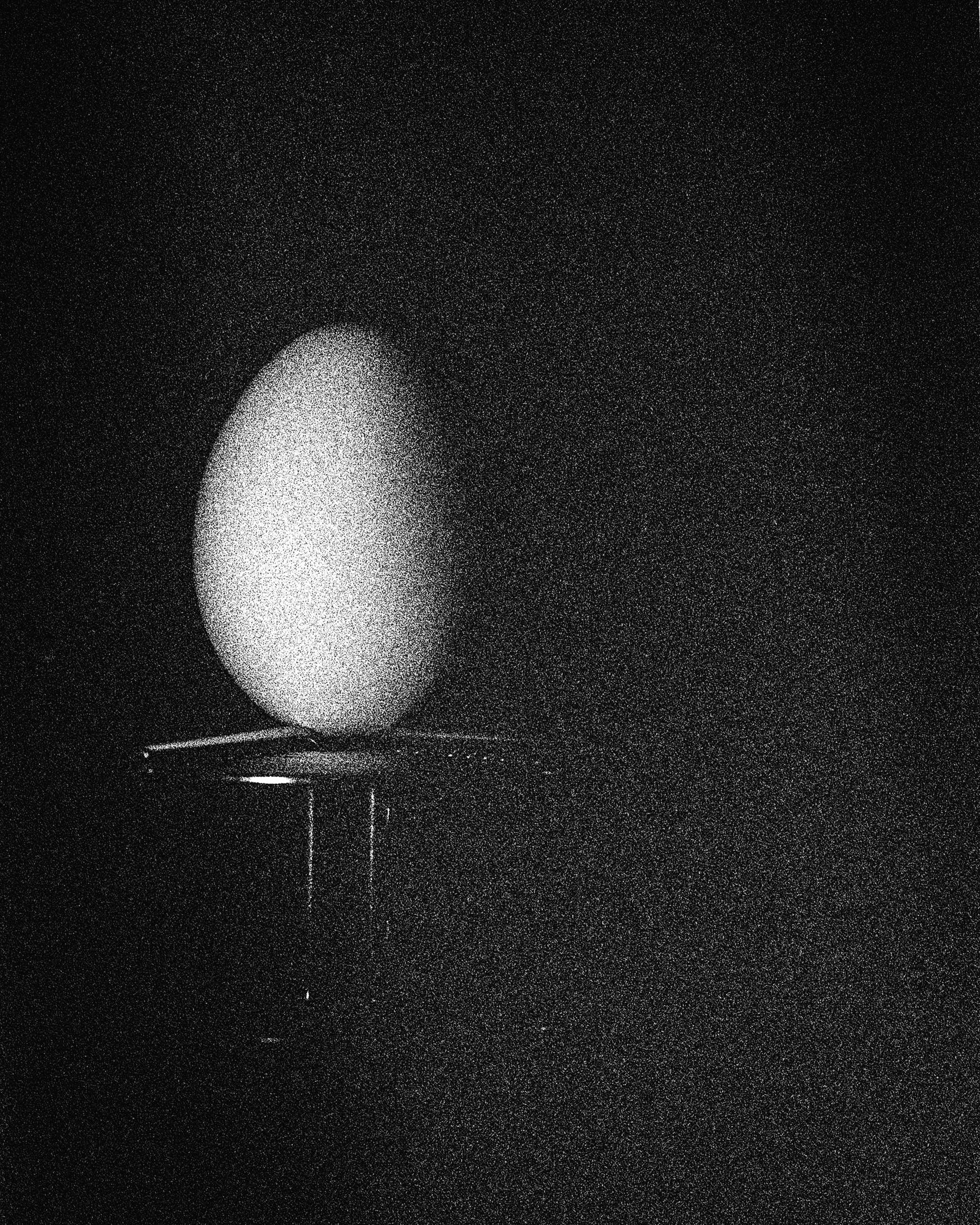 Shine Huang Abstract Photograph - Egg Study 11. Still Life . Black and White Silver Gelatin Print