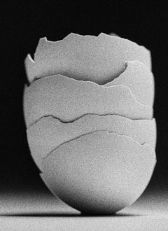 Egg Study 17. Still Life . Black and White Silver Gelatin Print