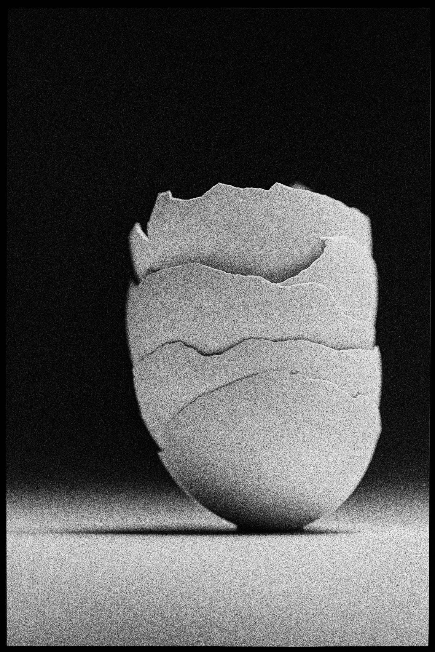 Shine Huang Black and White Photograph - Egg Study 17. Still Life . Black and White Silver Gelatin Print