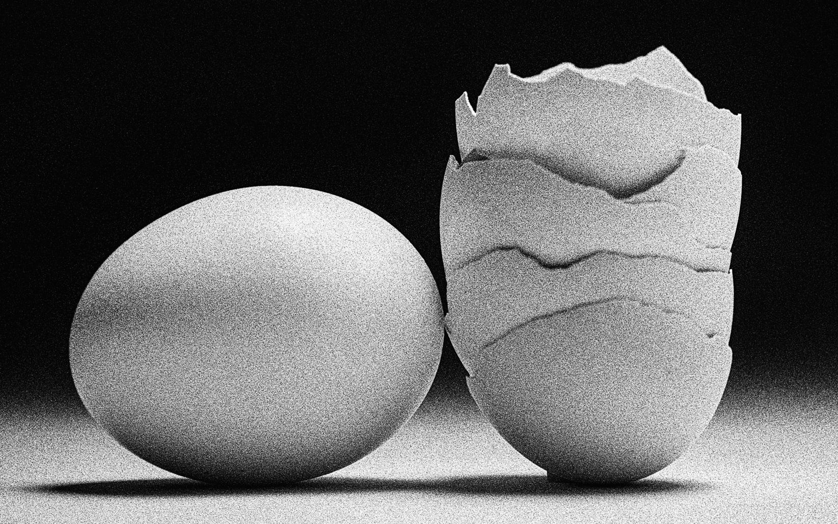 Egg Study 18. Still Life . Black and White Silver Gelatin Print - Photograph by Shine Huang