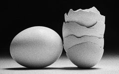 Egg Study 18. Still Life . Black and White Silver Gelatin Print