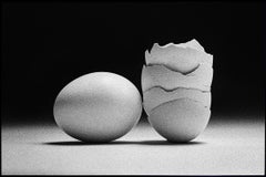 Étude de l'œuf 18. Nature morte . Impression à la gélatine argentée en noir et blanc