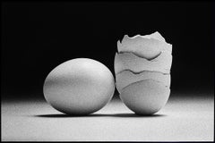 Egg Study 18. Still Life . Black and White Silver Gelatin Print