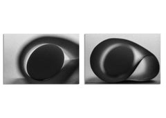 Egg Study 3 and 2. Diptych. Abstract.  Black and White Silver Gelatin Print 