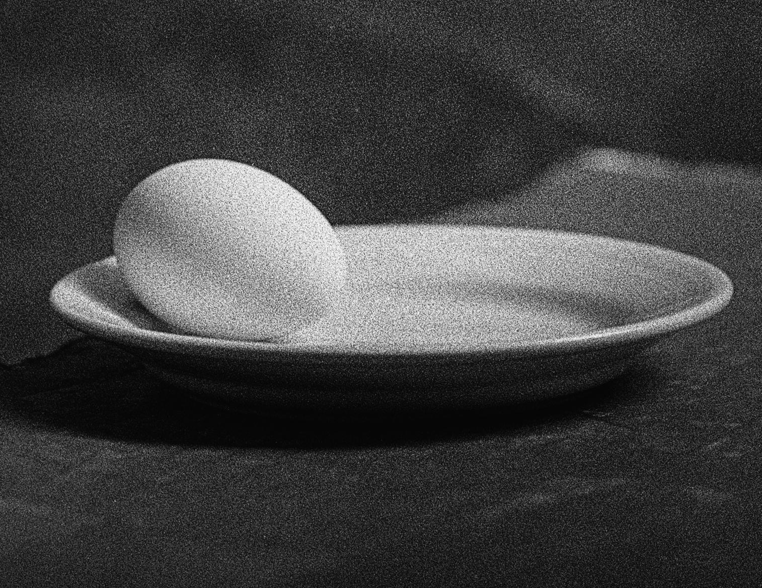 Egg Study 4 and 5. Diptych. Abstract.  Black and White Silver Gelatin Print - Minimalist Photograph by Shine Huang