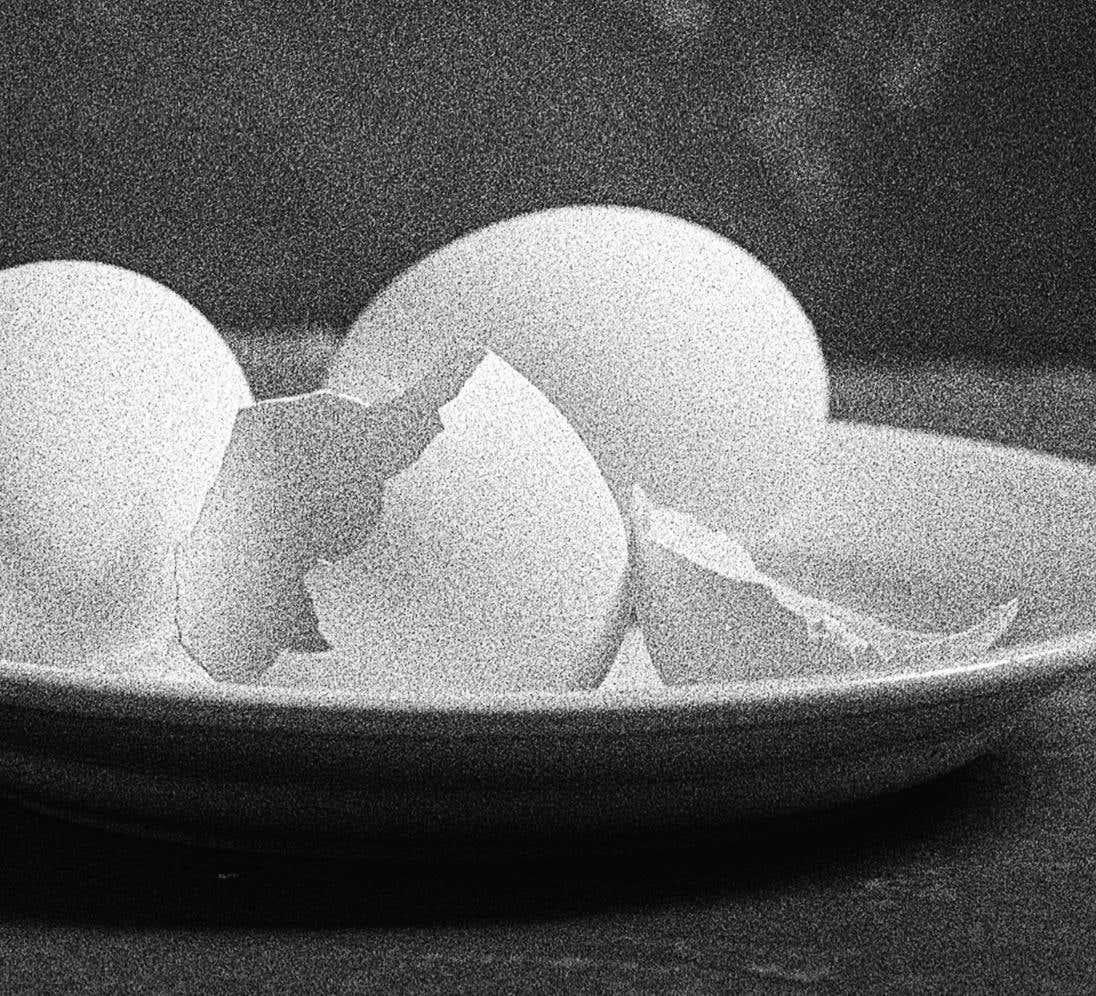 Egg Study 4 and 5. Diptych. Abstract.  Black and White Silver Gelatin Print For Sale 3