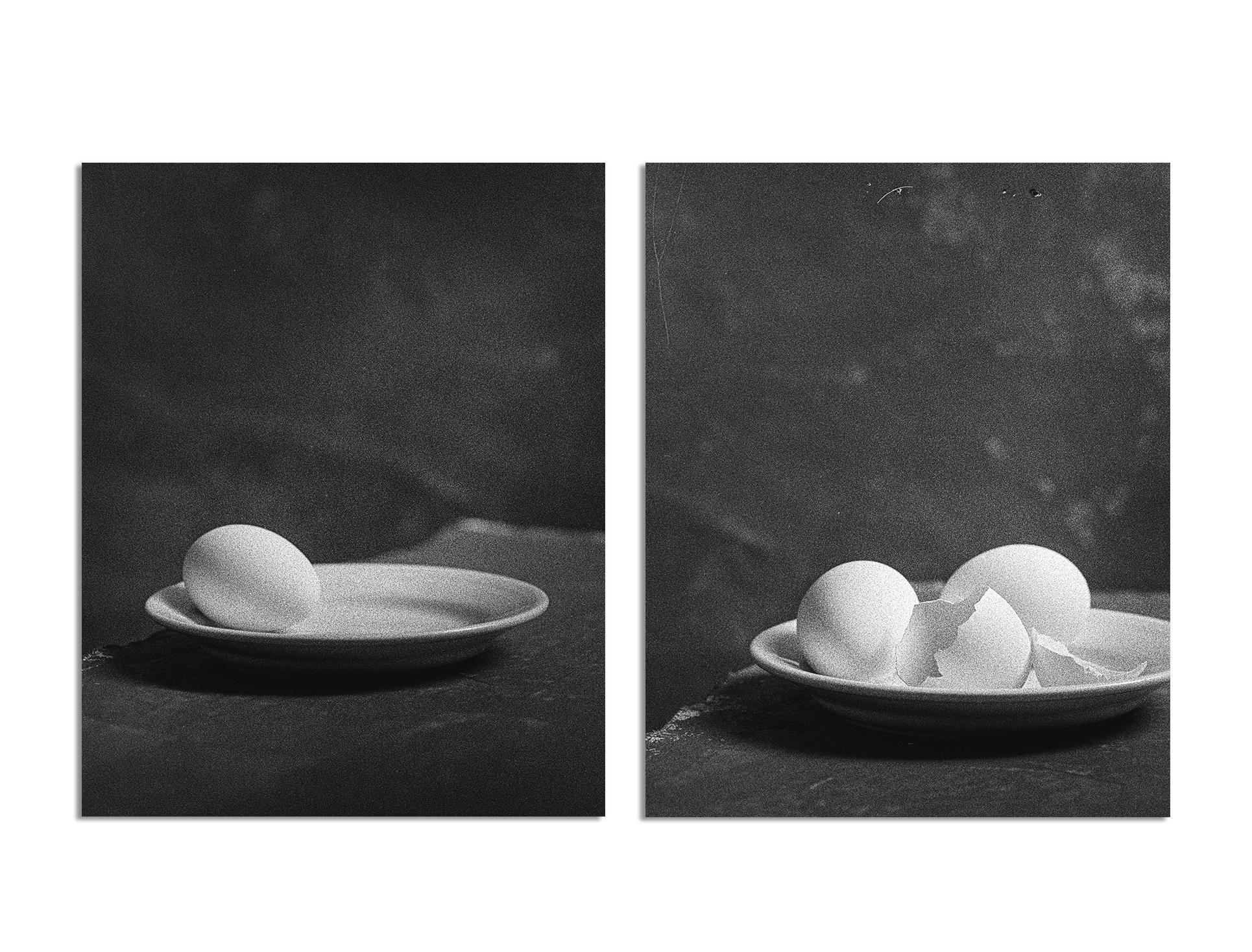 Étude d'œuf 4 et 5. Diptyque. Résumé.  Impression à la gélatine argentée en noir et blanc