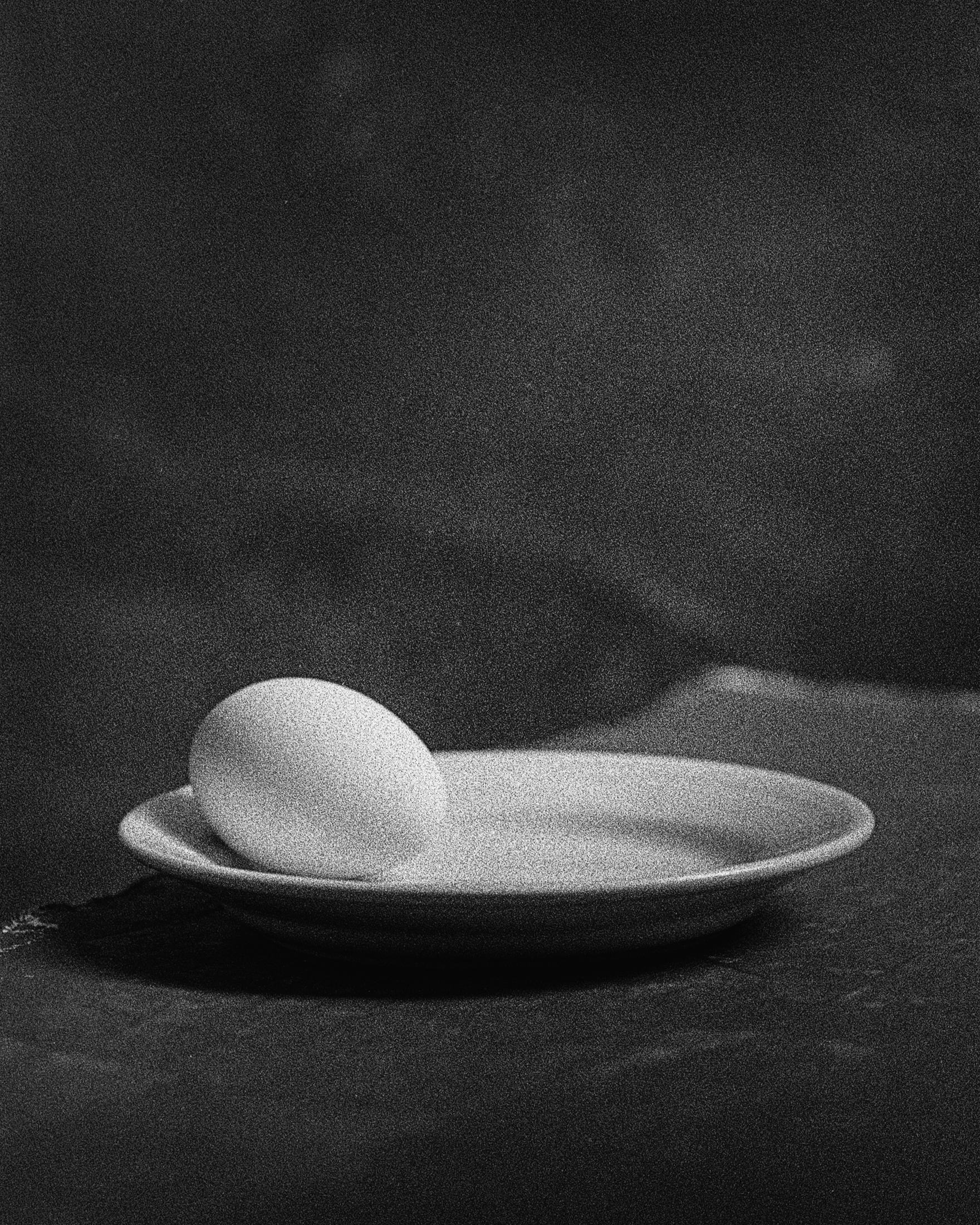 Shine Huang Black and White Photograph - Egg Study 4.  Still Life . Black and White Silver Gelatin Print