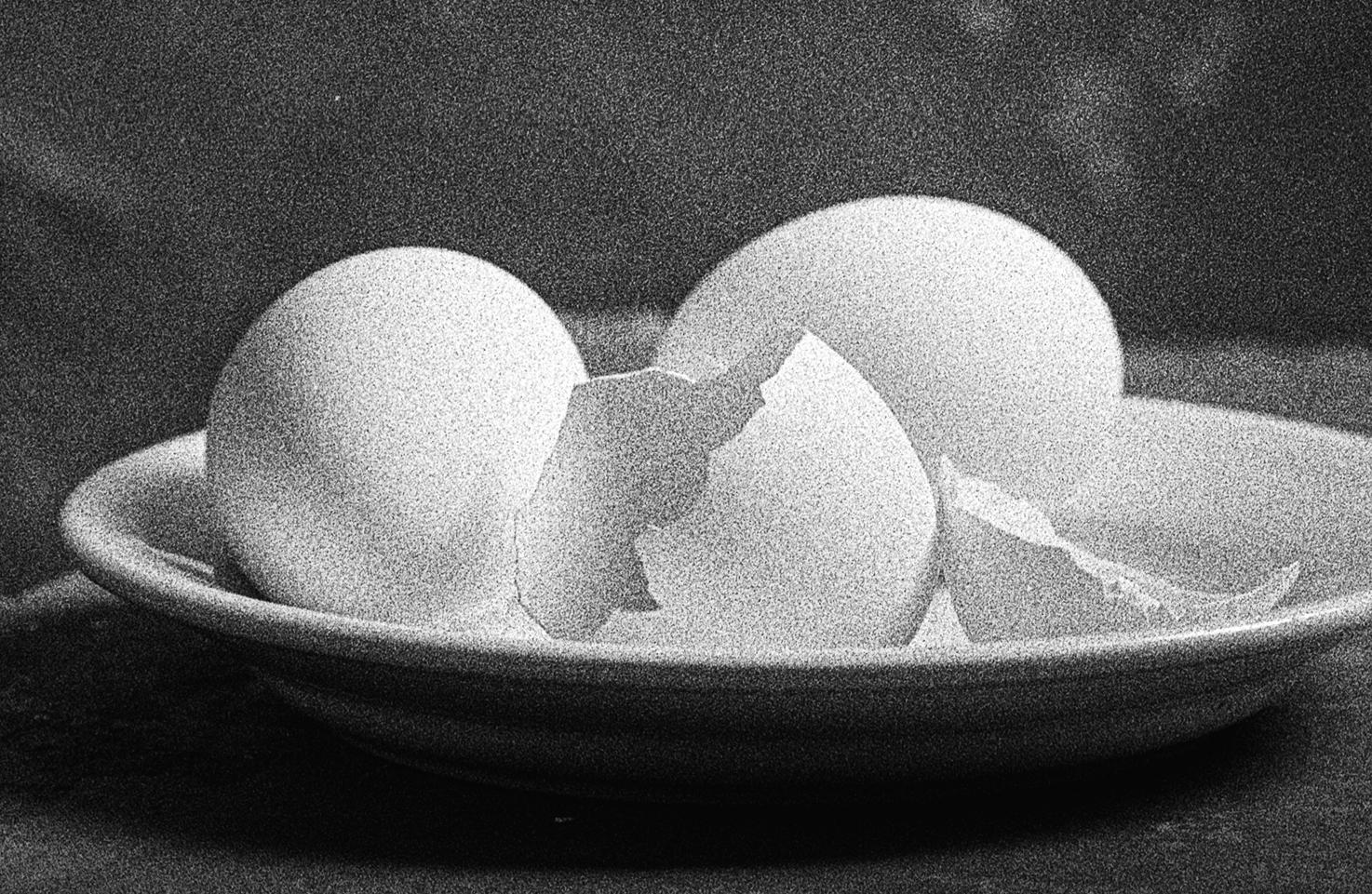 Egg Study 5. Still Life . Black and White Silver Gelatin Print - Photograph by Shine Huang