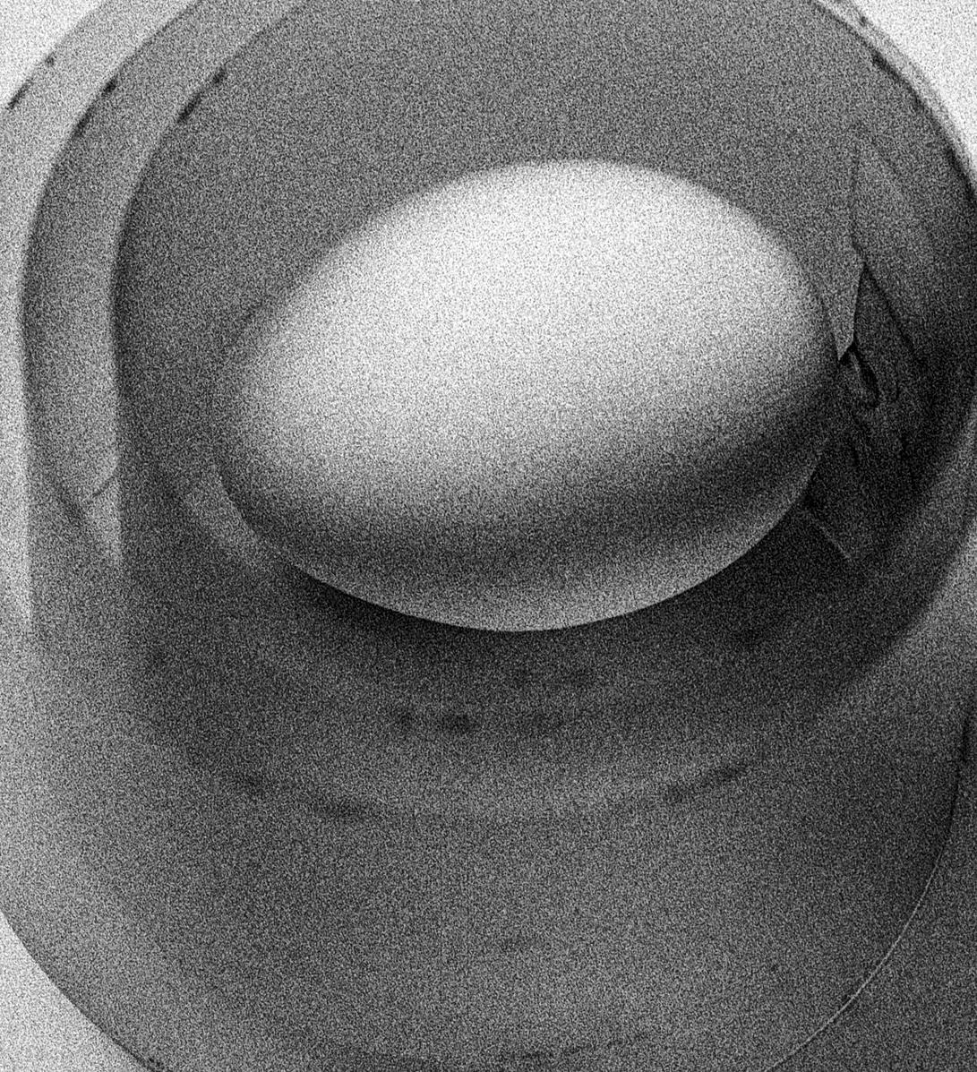 Egg Study 6 and 8. Diptych. Abstract.  Black and White Silver Gelatin Print - Gray Black and White Photograph by Shine Huang