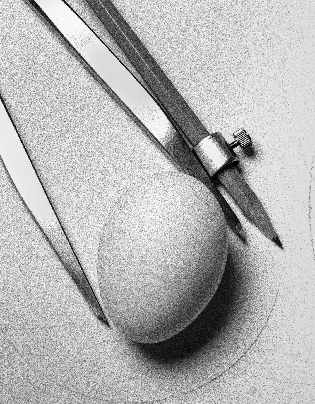 Egg Study 9. Still Life . Black and White Silver Gelatin Print - Gray Black and White Photograph by Shine Huang